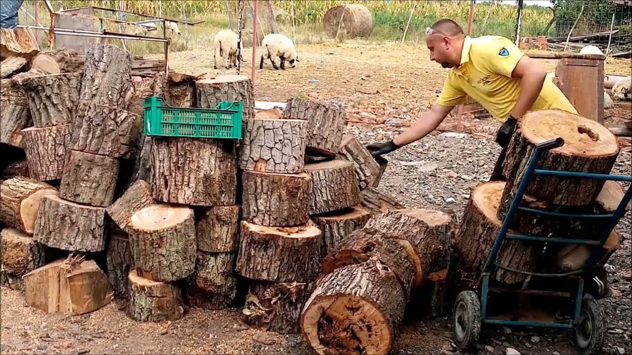 TAI O CAMIONETĂ DE LEMNE PENTRU FOC CU STIHL 291