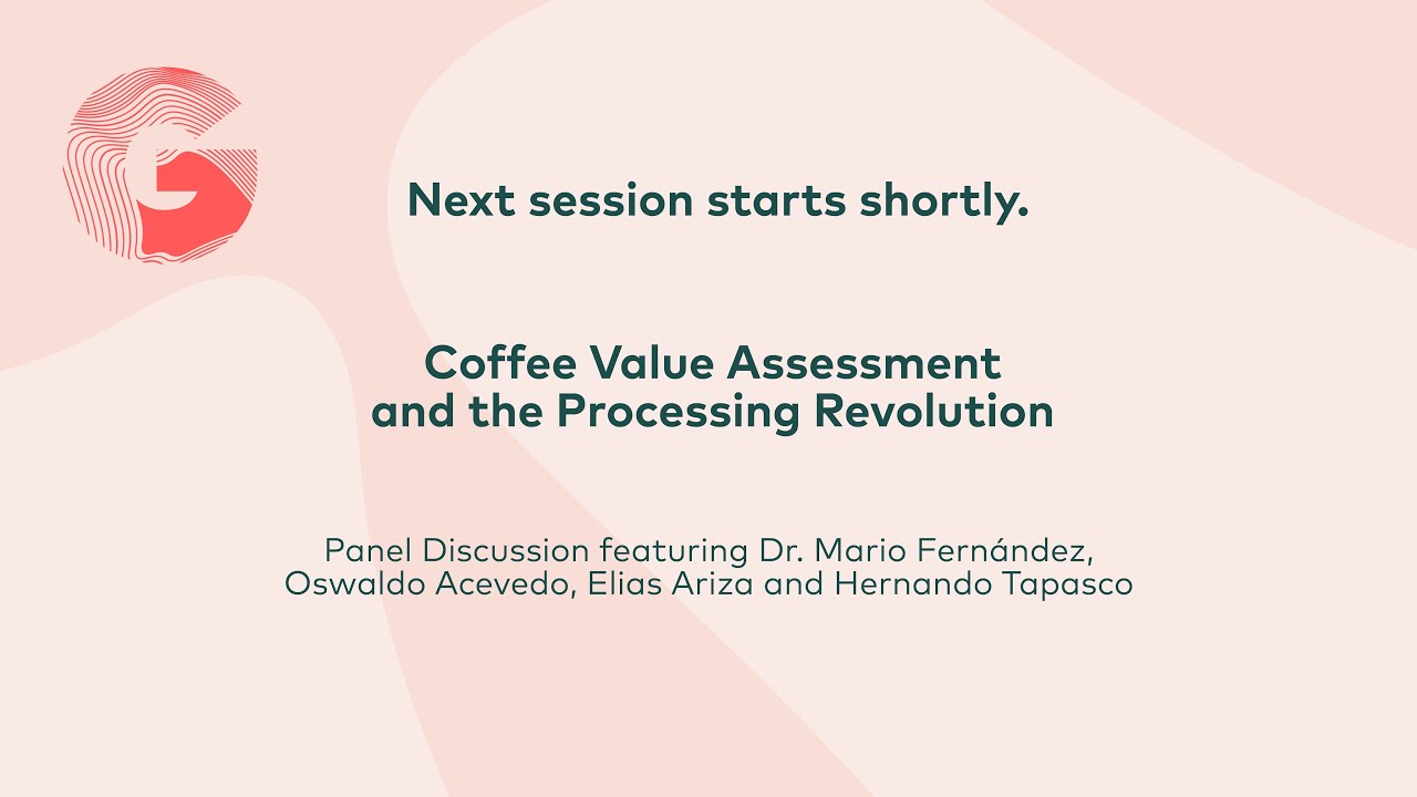 Coffee Value Assessment and the Processing Revolution | Green Coffee Summit 2023