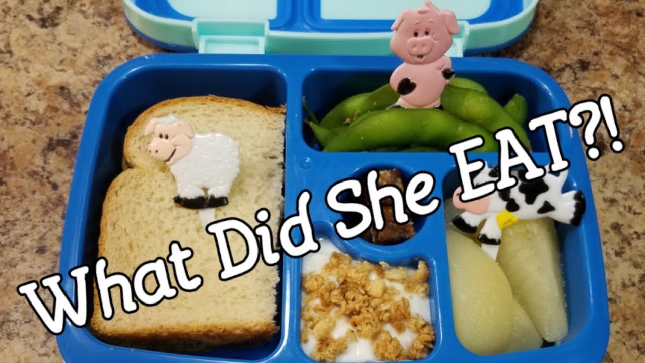 Second week of school lunches... but does she eat them? What did she eat.....