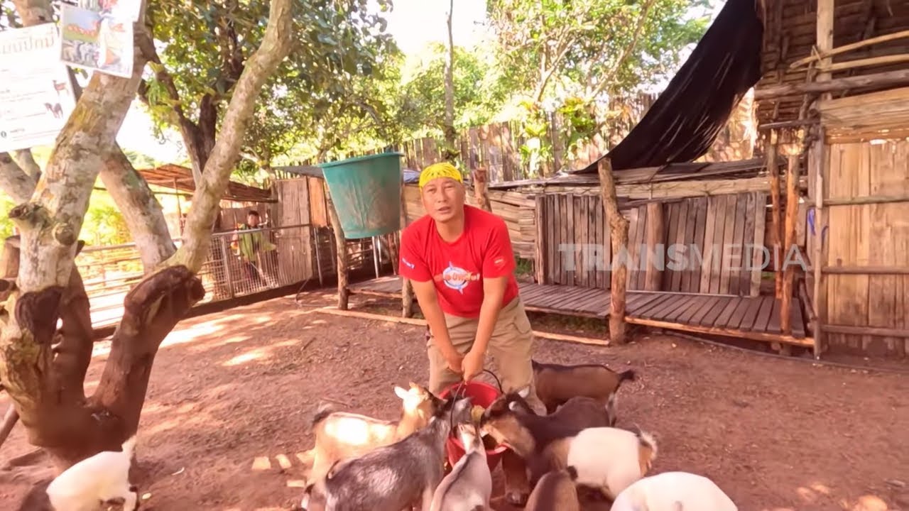 Si Gundul Kerja di Mini Zoo Chiang Mai | JEJAK SI GUNDUL