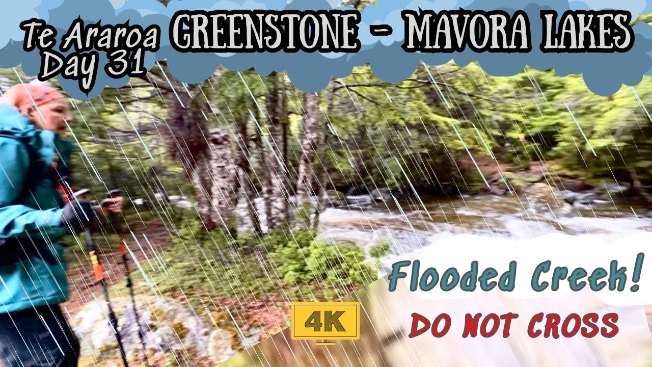 Te Araroa Day 31 | Greenstone Hut Mavora Lakes Section FAILED!