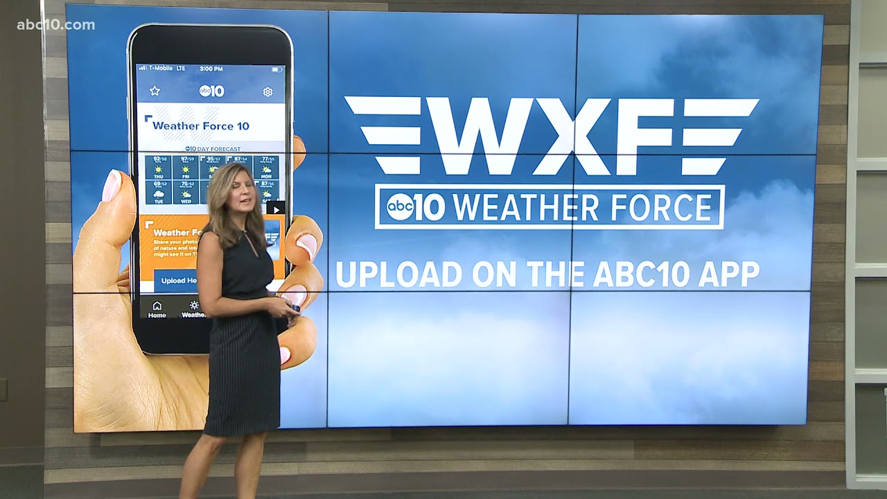 Monica Woods tells you what to expect this week in today's forecast