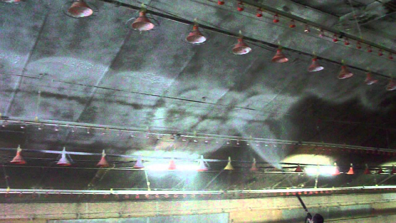 Lavage - Décapage - Désinfection