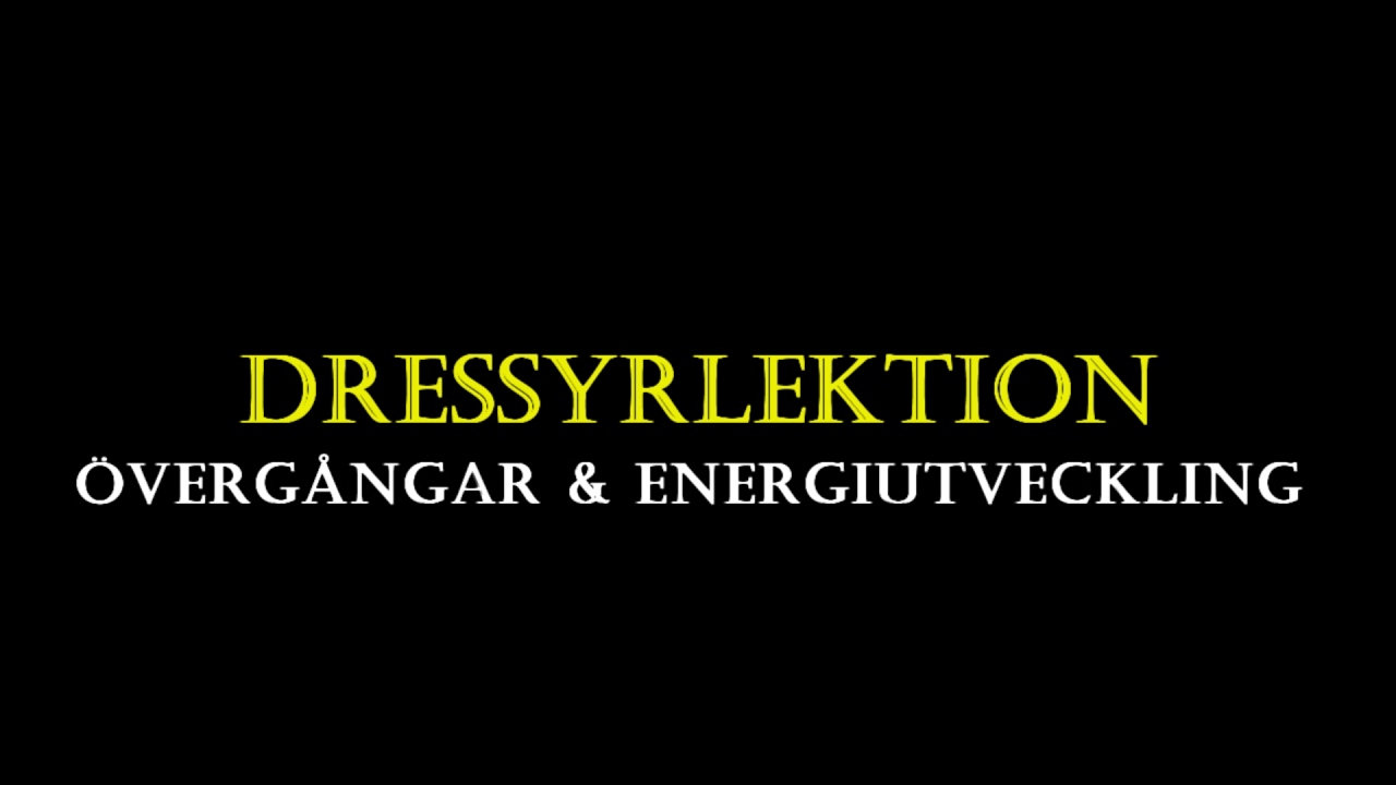 Sneakydragons | Ridlärarmaterial | Dressyrlektion - Övergångar & energiutveckling