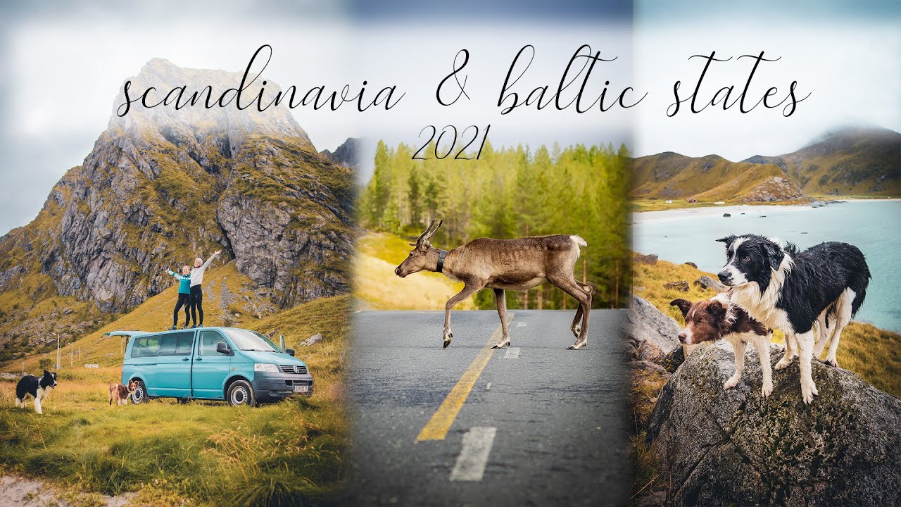 SCANDINAVIA ROADTRIP 2021 • Vanlife with Border Collies