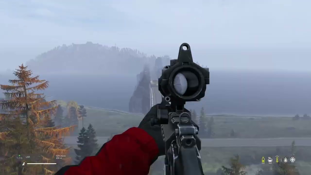 Dayz