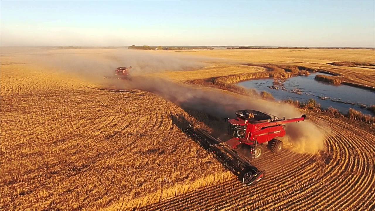 Horvath Seeding and Harvest 2015 - Raymore, Saskatchewan