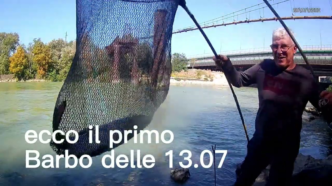 (Diga di Castel Giubileo) 8 ott 23 . Prima parte...  oggi la canna 