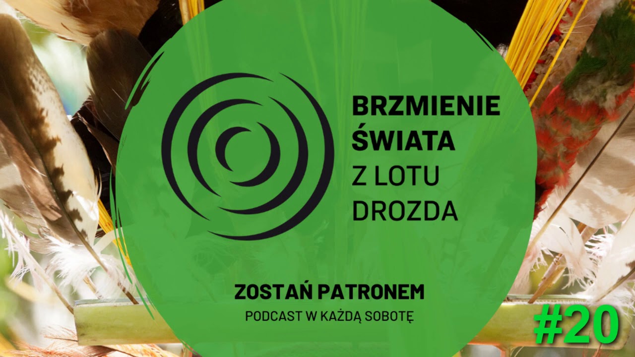 #20 - O transie P&oacute;łnocy, rosomakach i Naddniestrzu (występują: K. Nizinkiewicz i Roman FanPolszy)