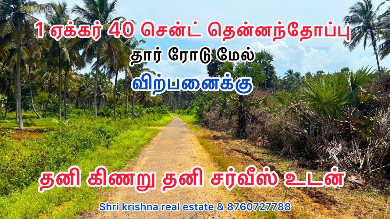 Low budget agriculture land for sale in pollachi தனி கிணறு தனி சர்வீஸ் உடன்