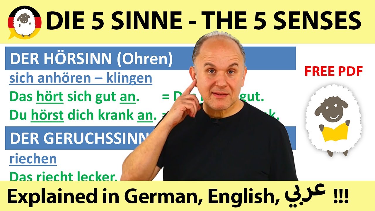 Learne die f&uuml;nf Sinne in Deutsch - Learn the 5 Senses in German | Learn German quickly