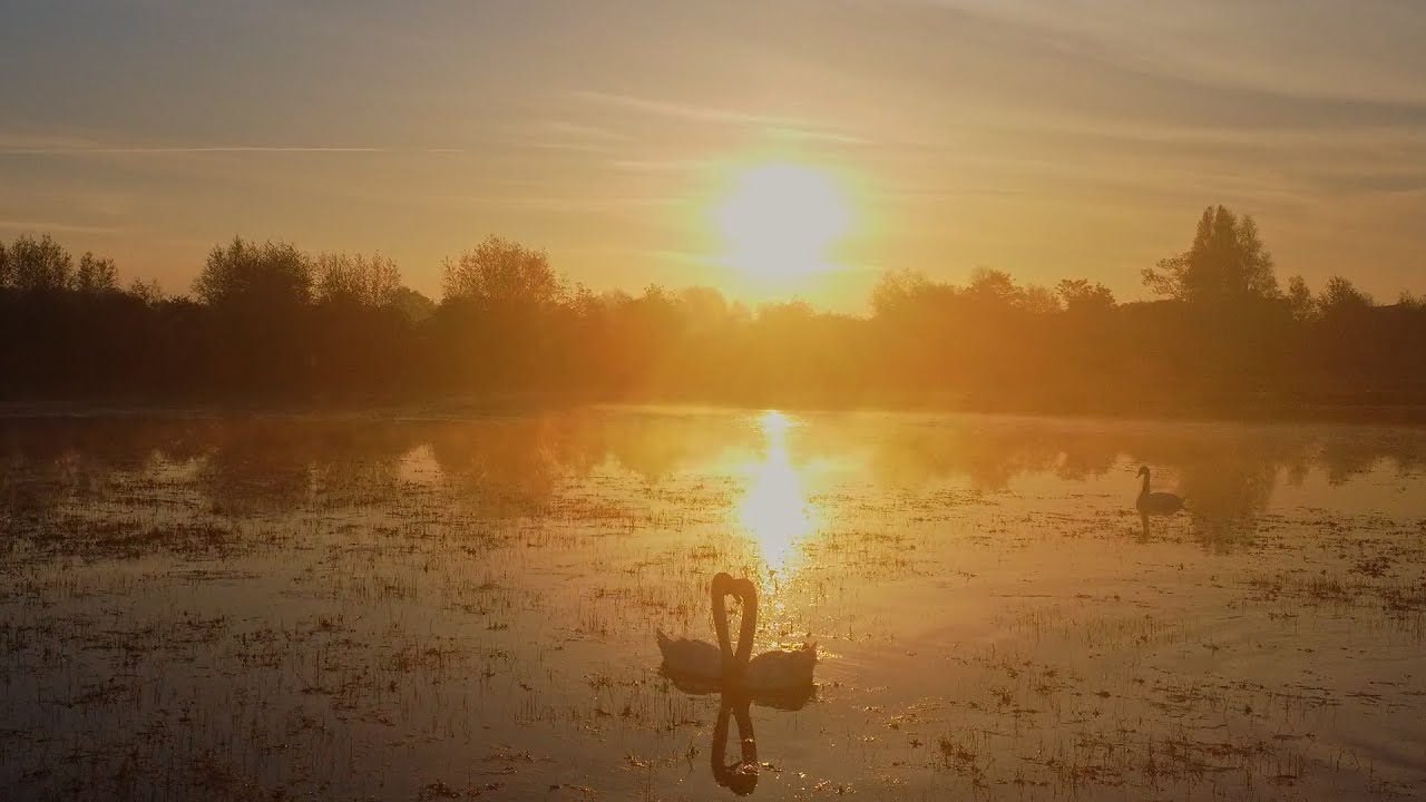 Confluences: The weaving waters of Oxford