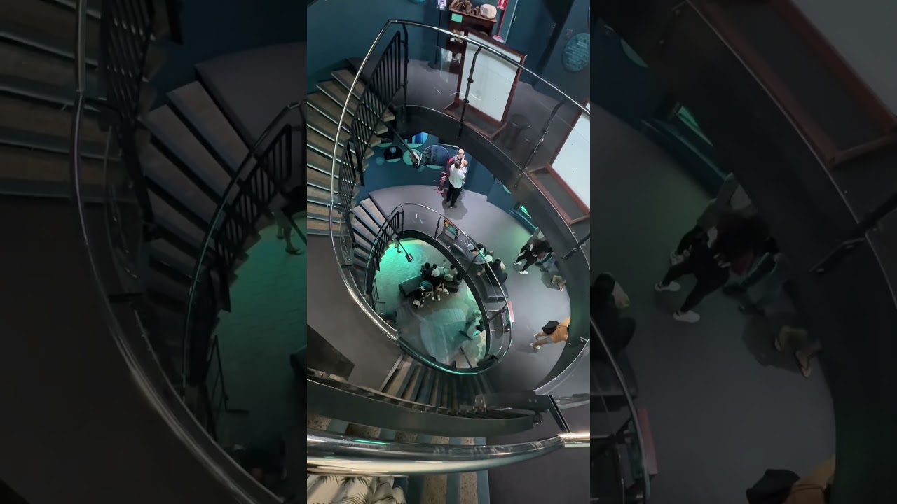 Explore the Busselton Jetty Underwater Observatory with us | Gifted | #yahooaustralia