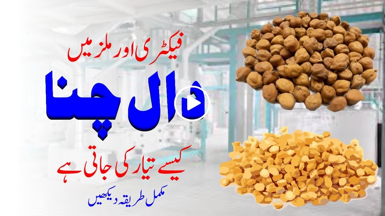 Chana Dal Mill Suppliers and Manufacturers Faislabad pakistan l Dal mill plant l Bashir Sandhila