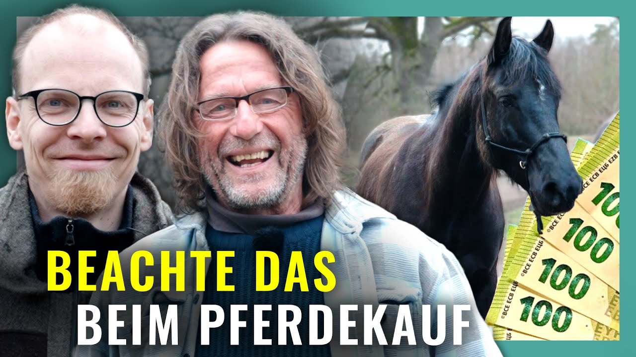 Perfect Match? Marco Scheel trifft sein Traumpferd wieder!