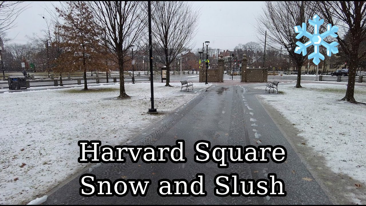 Cambridge MA Harvard Square/Harvard Yard Snowy Slushy walk.
