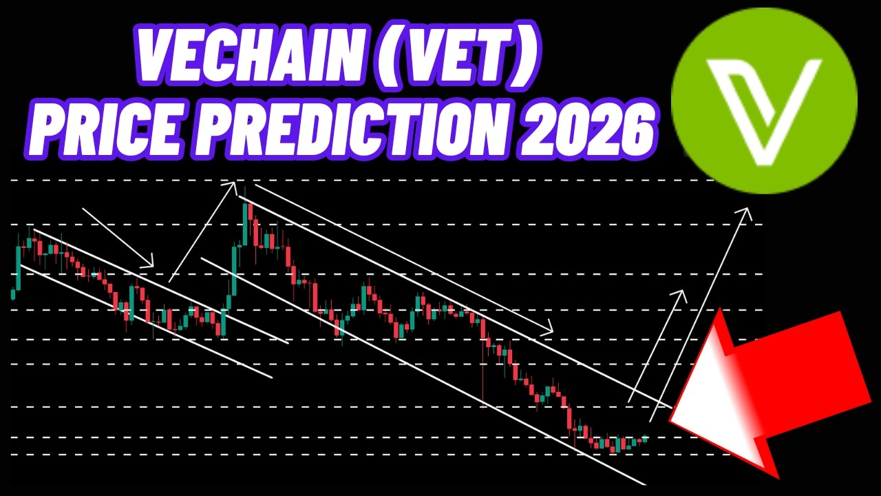 VeChain Crypto News & VET Coin Price Prediction 2026