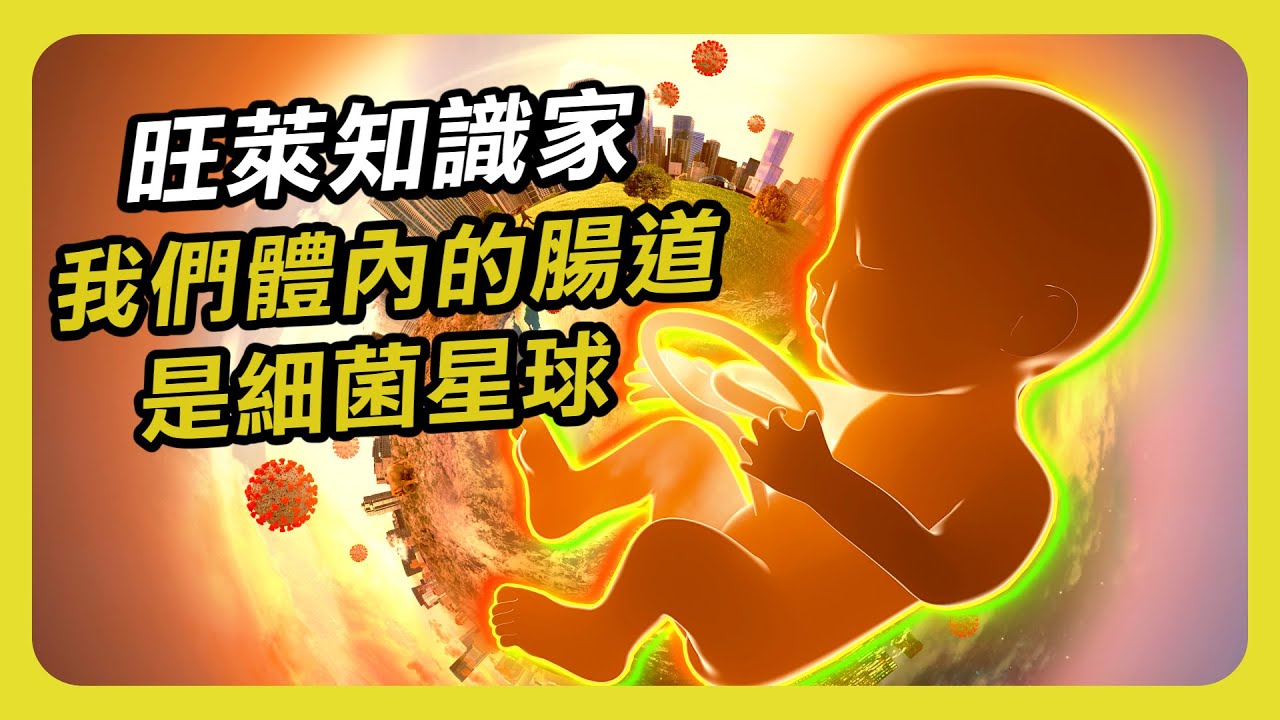 【旺萊知識家EP4】我們體內的腸道是細菌星球?! |  簡單幾個要點維持良好腸道菌相 / 旺萊山 /