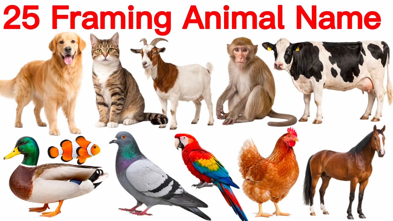 25 Farming Animals Name  English and Hindi | खेती के जानवरों के नाम | Learn Farm Animals for Kids 🐄 