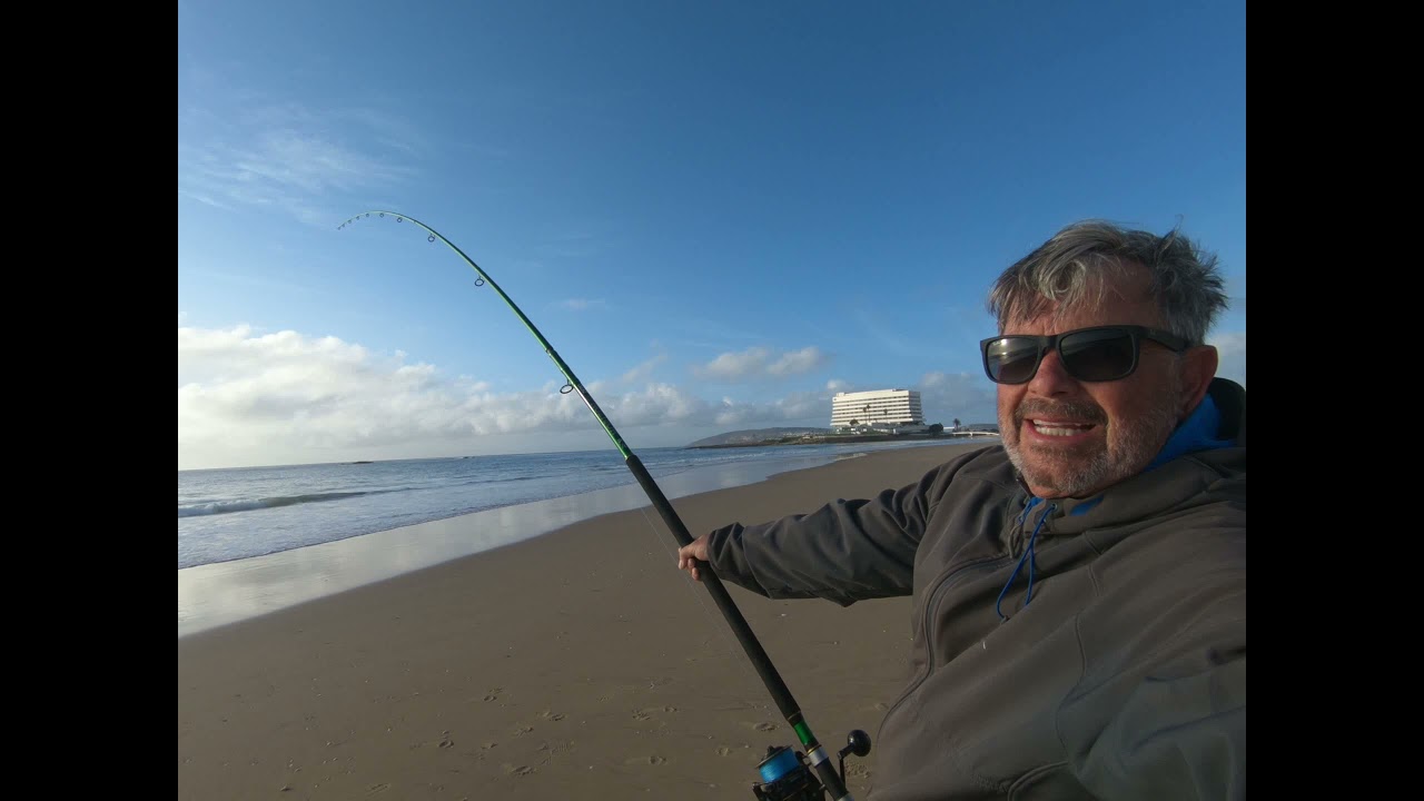 Plett short tail ray
