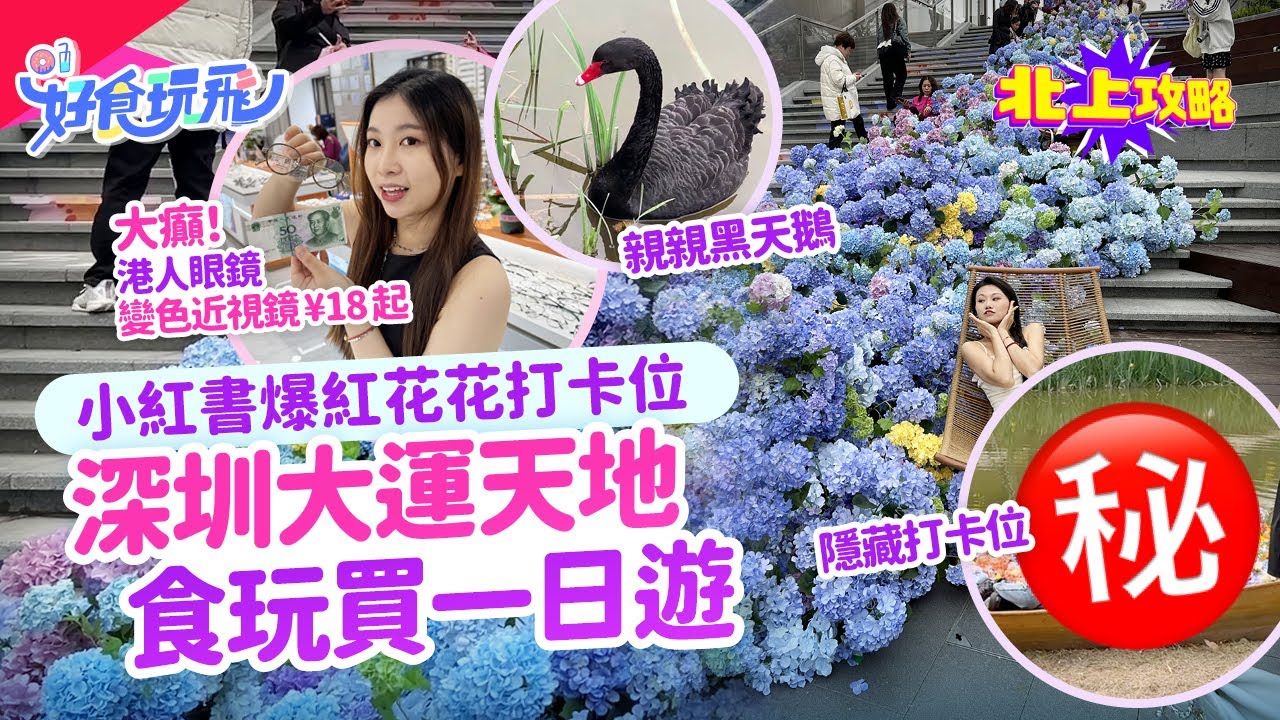 深圳大運天地食玩買一日遊🔥小紅書爆紅4大花花打卡位+1個必去隱藏打卡位🔥超大人工湖+大量食肆🔥國貿站新開港人眼鏡　變色近視鏡實付¥18起🤓深圳好去處｜深圳配眼鏡｜大運天地｜北上攻略｜HK01