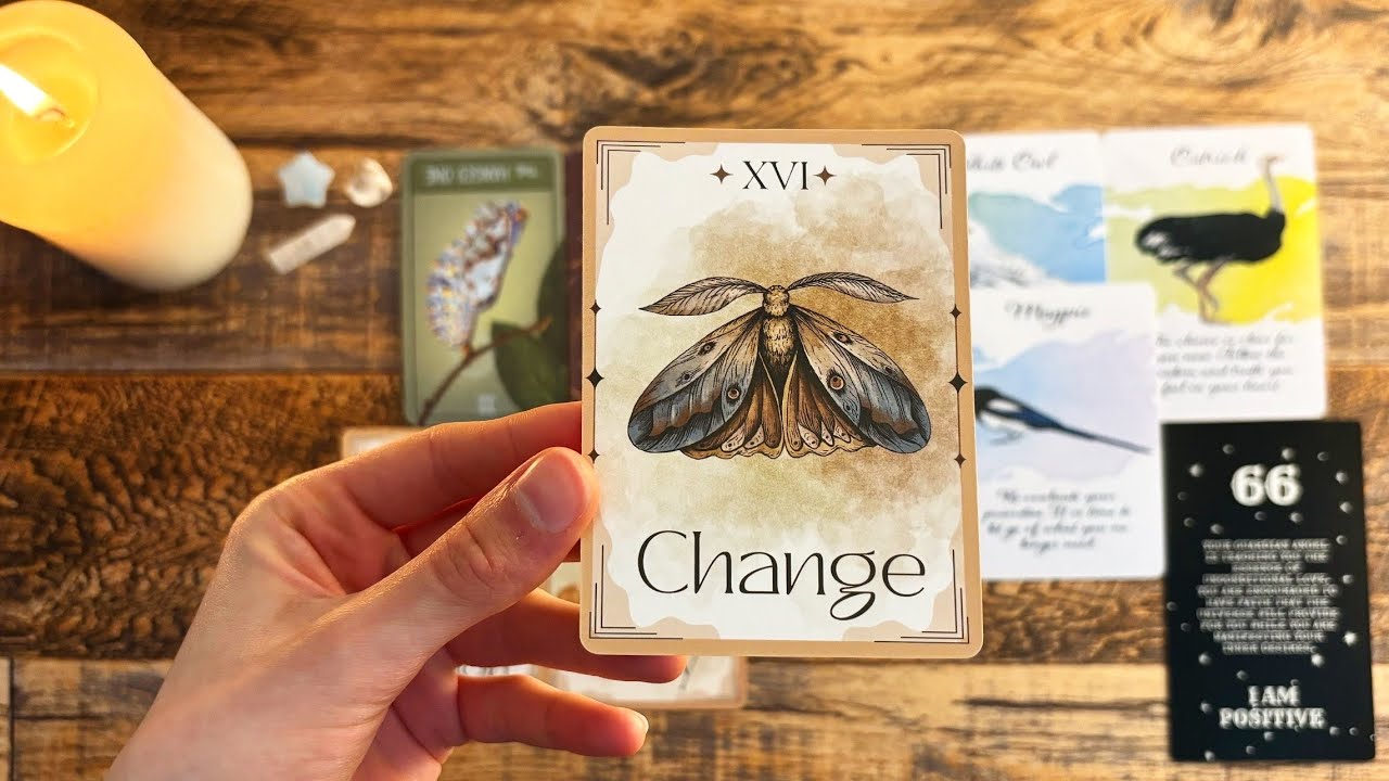 This Will Find You 2 Days Before Your Life Starts To Change!🦋