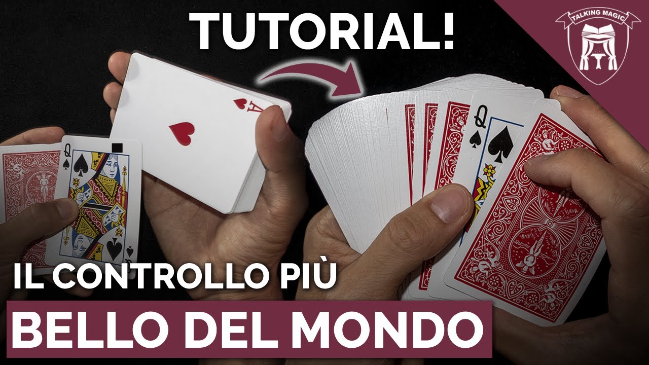 IL CONTROLLO PIÙ BELLO DEL MONDO