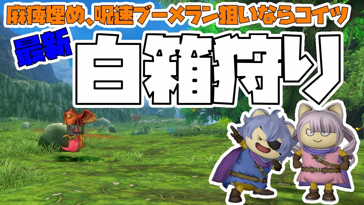 【ドラクエ10】マヒ、呪速ブーメラン狙うならコレ！！最新白箱狩り【白箱狩り】
