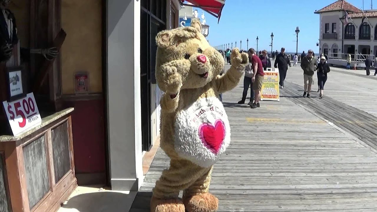 Care Bears Tenderheart Bear Music Video 