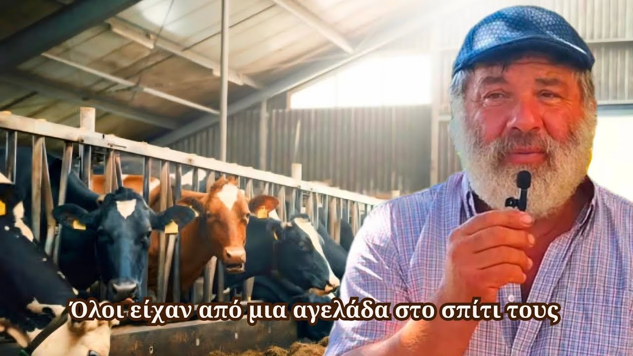 Πώς έδιωξαν όλα τα αγελάδια από τα χωριά της Ελλάδας