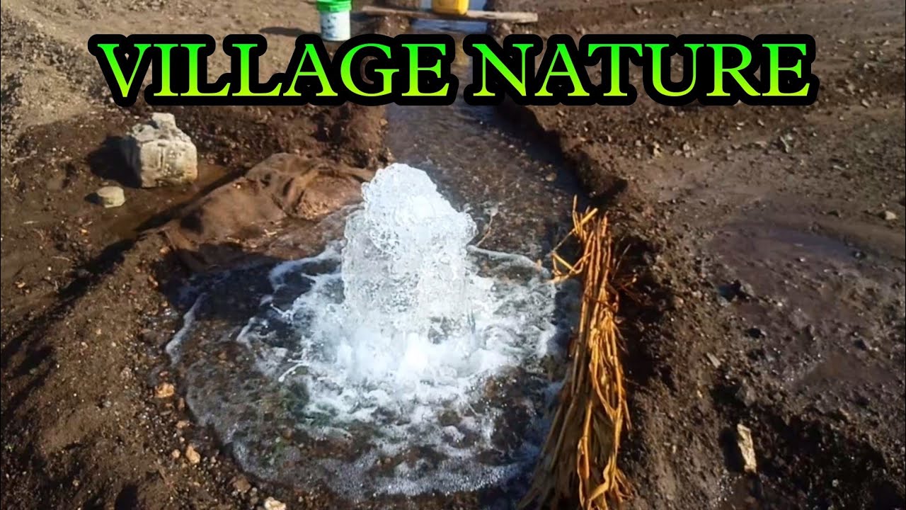 BEAUTIFUL VILLAGE NATURE VIEW || GUJARATI MAHER FAMILY VLOGS