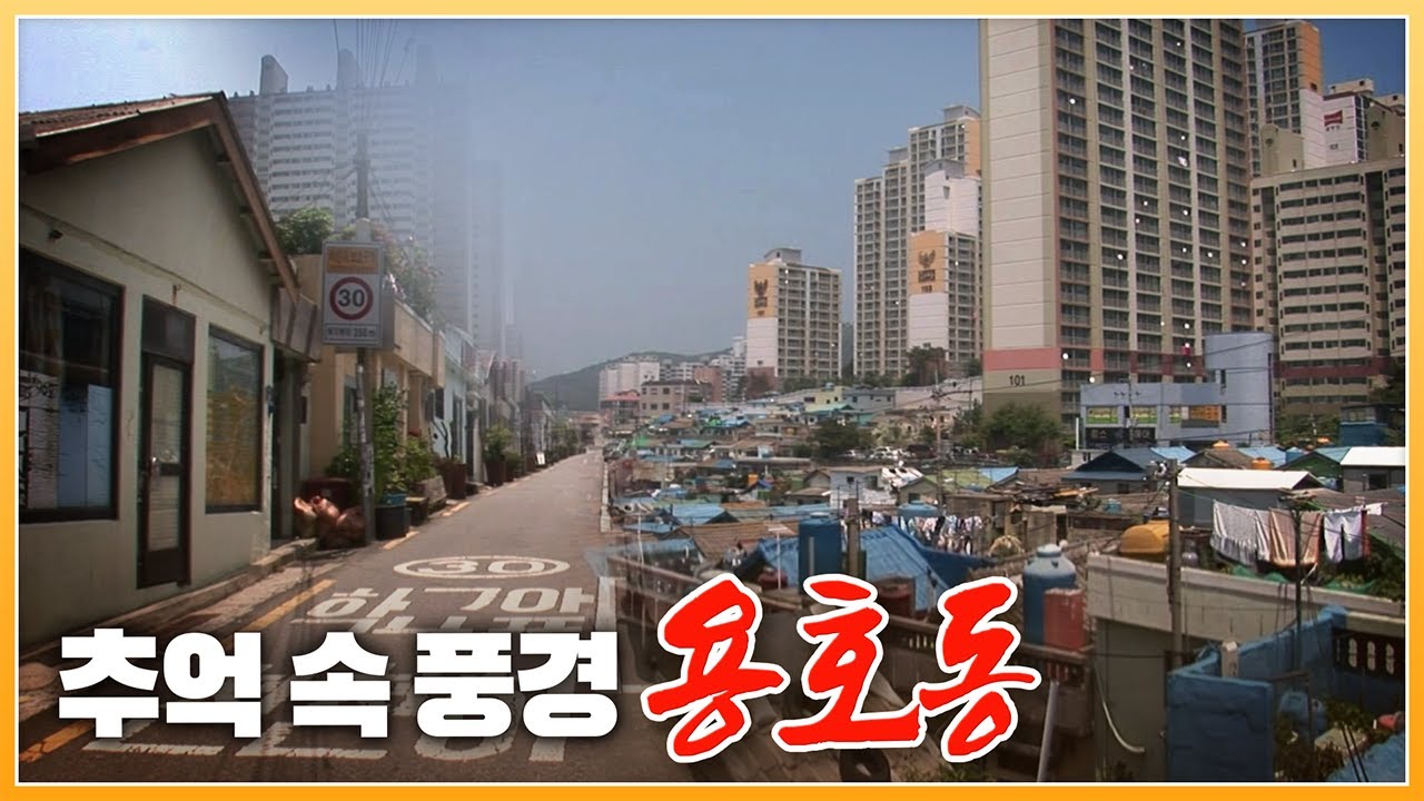 똑같은 모양의 집들이 줄지어 있는 '용호동 골목' 2011년 모습 [ 포토에세이골목 ] 20110627