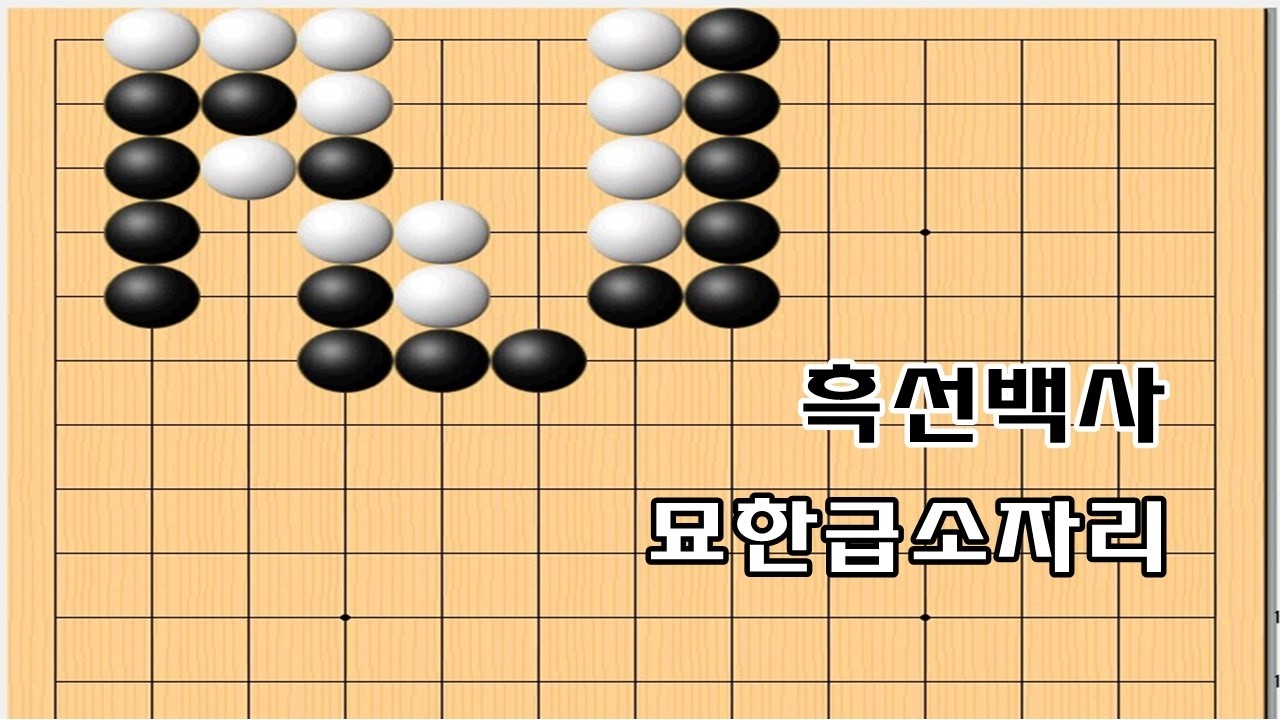 묘한자리급소 - 패로사는수 조심 - 바둑사활[실전사활]