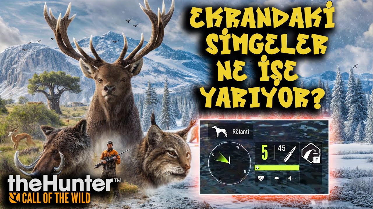 CALL OF THE WİLD NASIL OYNANIR (ÖĞRETİCİ)  | theHunter: Call of the Wild