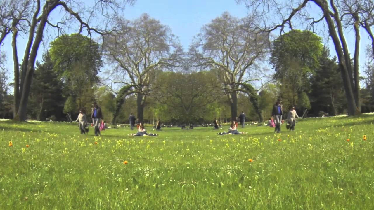 Mr Untel - Chill For The Day [Official Video]