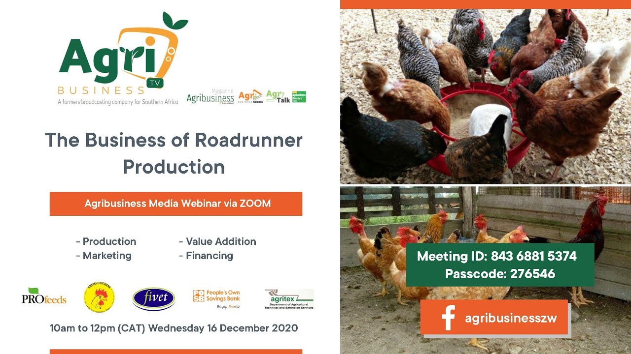 The business of roadrunner (indigenous chicken) production