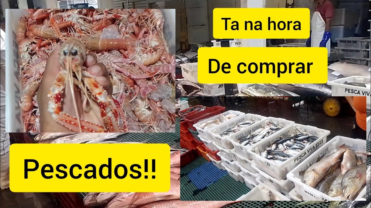 CEAGESP 19/03/24 VÉSPERA DA SEMANA SANTA, COMO ESTÃO OS VALORES DOS PESCADOS ??😯☝️