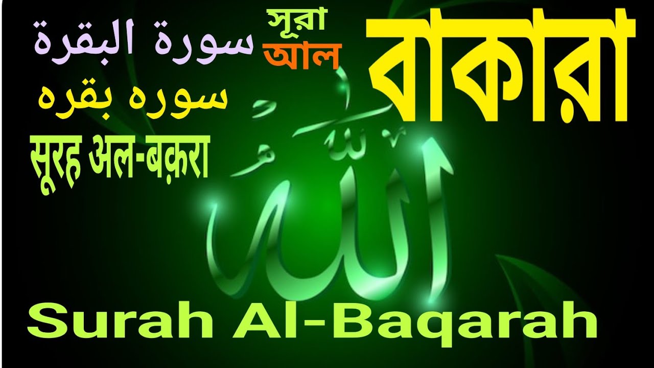 সূরা আল বাকারা  سورة البقرة  सूरह अल-बक़रा  سورہ بقرہ  Surah Al-Baqarah  #automobile #duet #quran 