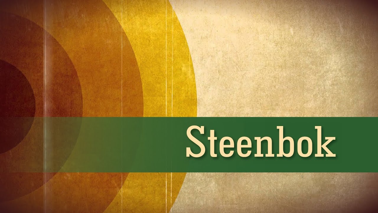STEENBOK Tarot Oktober 2024 - Geluk past niet in een agenda