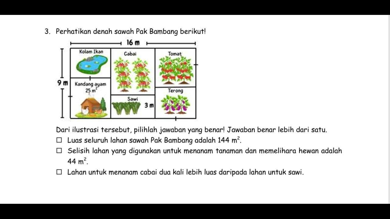 SOAL LUAS LAHAN