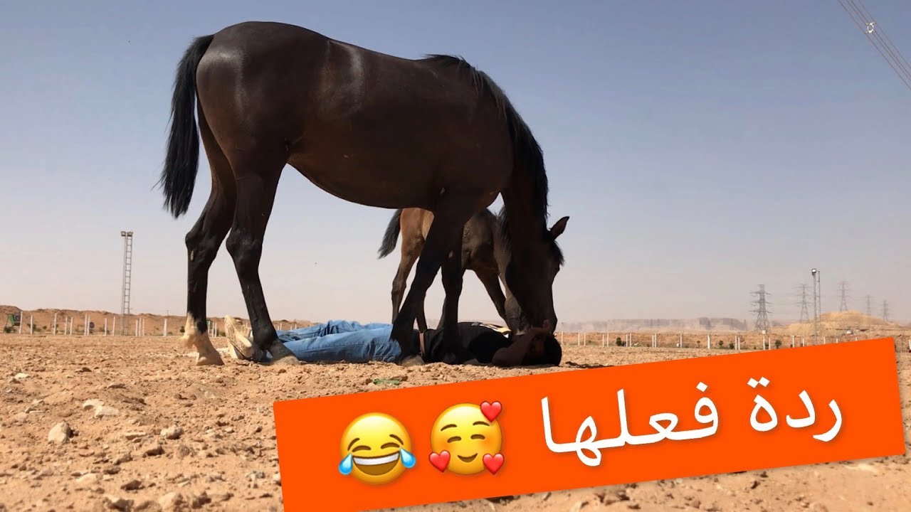 على طلبكم حطيت نفسي بوضعية الميت عند دهماء 🤣😂 شوف ردة الفعل