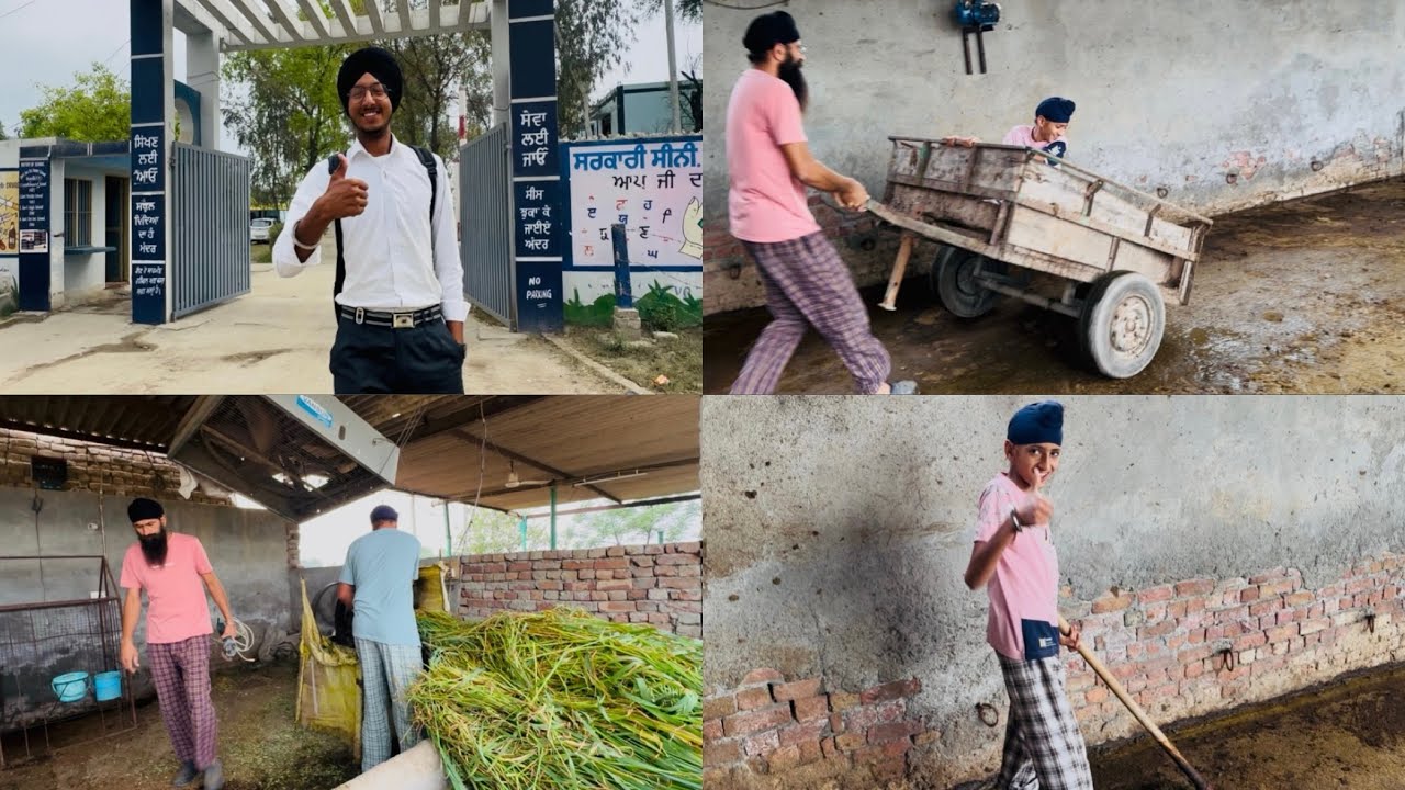 ਅੱਜ ਸਾਡੇ ਪੜਾ😂ਨੇ ਸਾਰਾ ਦਿਨ ਰੋਣਕ ਲਾ ਰੱਖੀ // working day vlog // dhillon brothers 