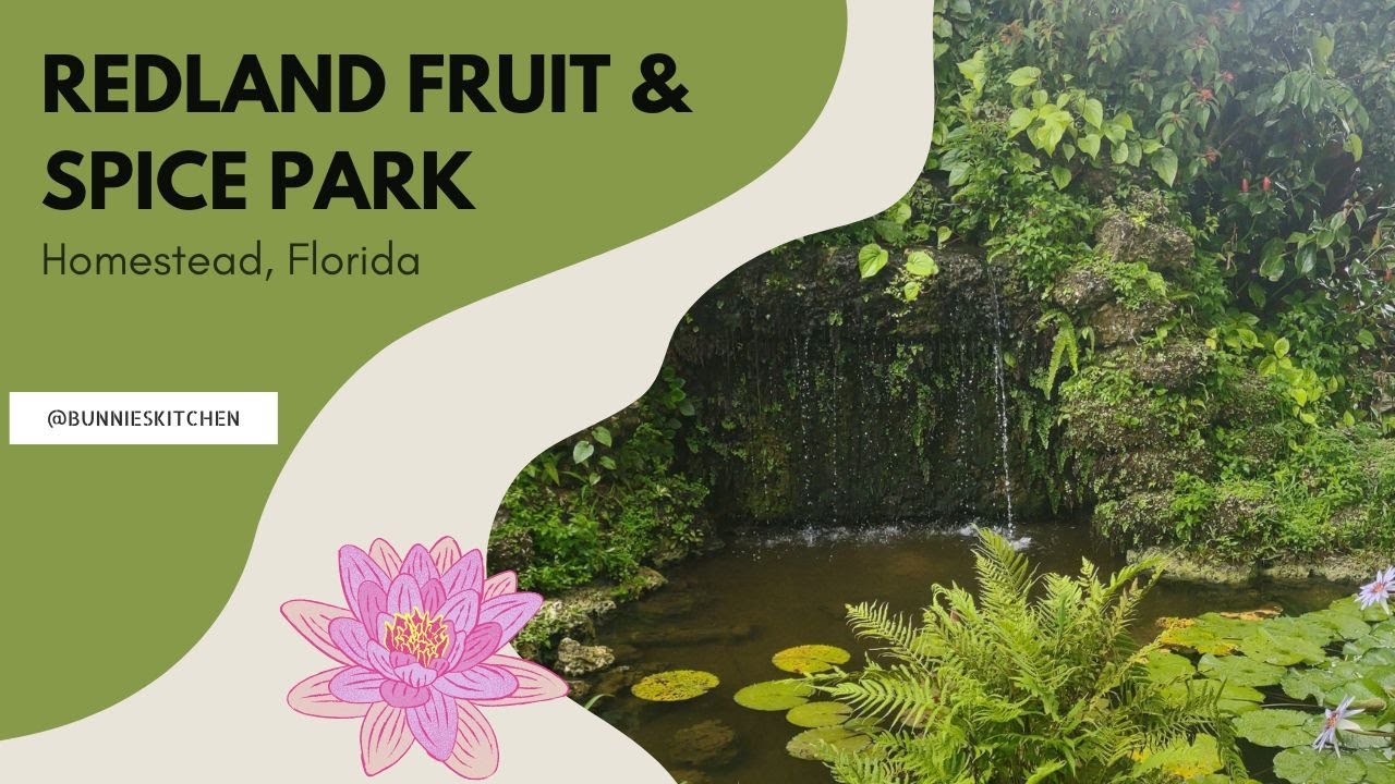 Redland Fruit and Spice Park | Miami | Botanical Gardens Tour Homestead Florida | Bunnie's Kitchen