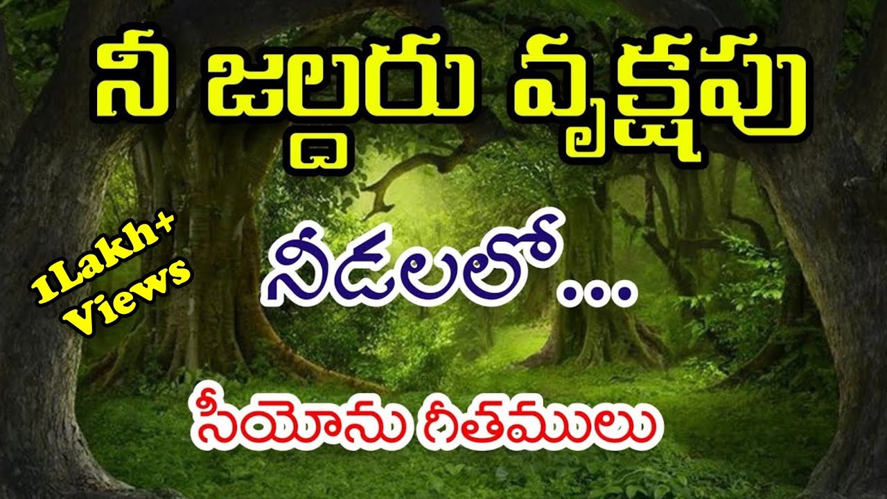 Nee Jaldaru Vrukshapu Needalalo || Hebron Songs || Songs of zion