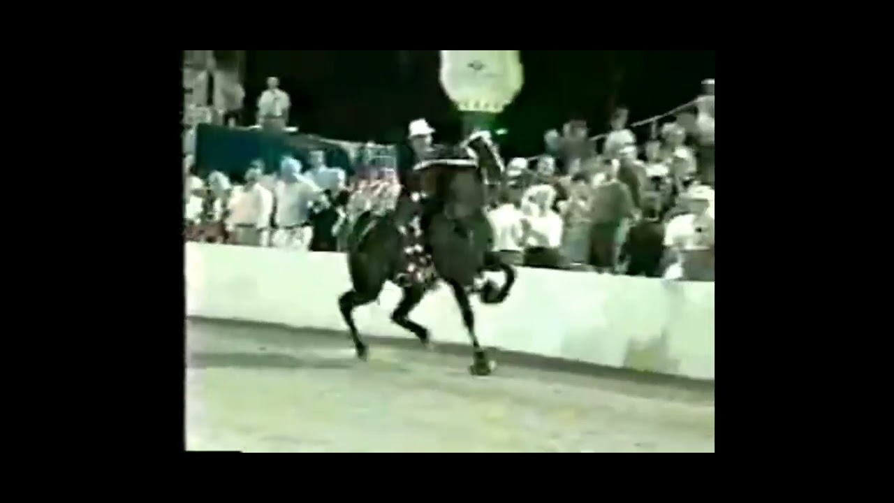 RPM And Bud Dunn