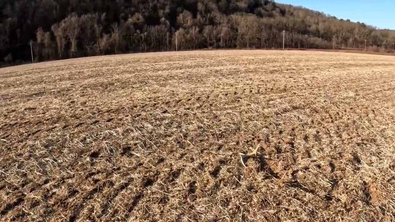 shed hunting 2023 Almost let 1 slip away