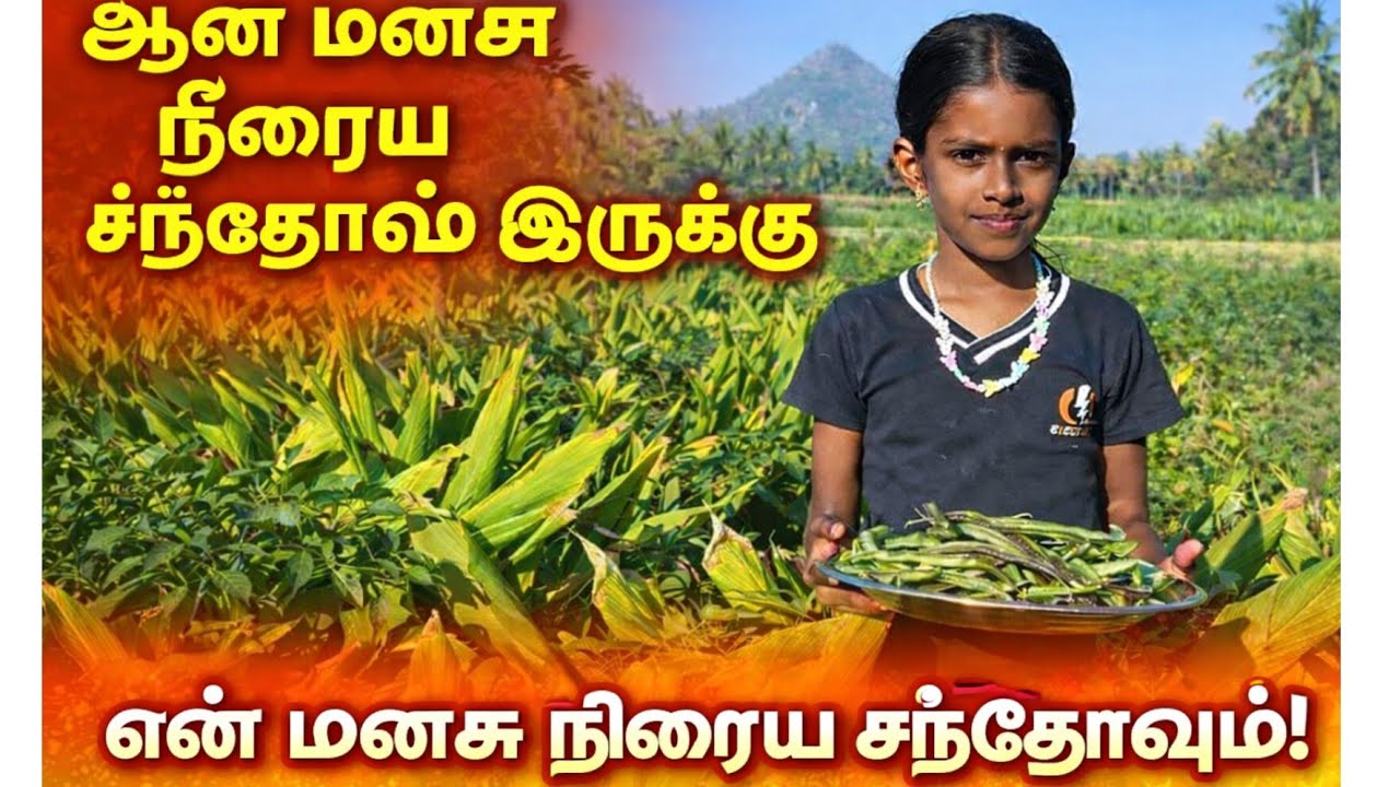 இதுதான் எங்களோட உண்மையான சொர்க்கம் நிறைய பணம் இல்ல…ஆனா மனசு நிறைய சந்தோஷம் இருக்கு😍|| Thanigaivelan 