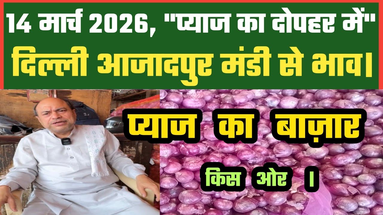 आज दोपहर में प्याज भाव कैसे Azadpur Delhi Mandi¹¹1 Today में 14-03-2026 के Onion Price DMT TV