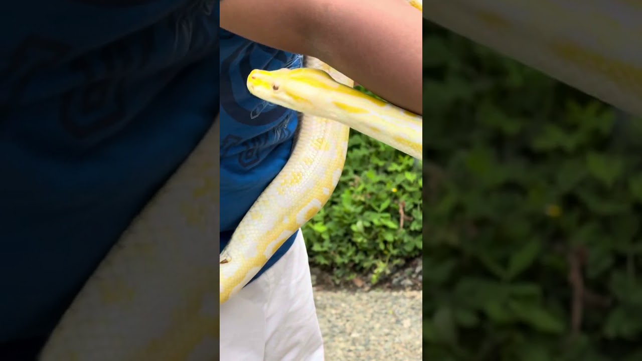 Philippine biodome 6/1/25