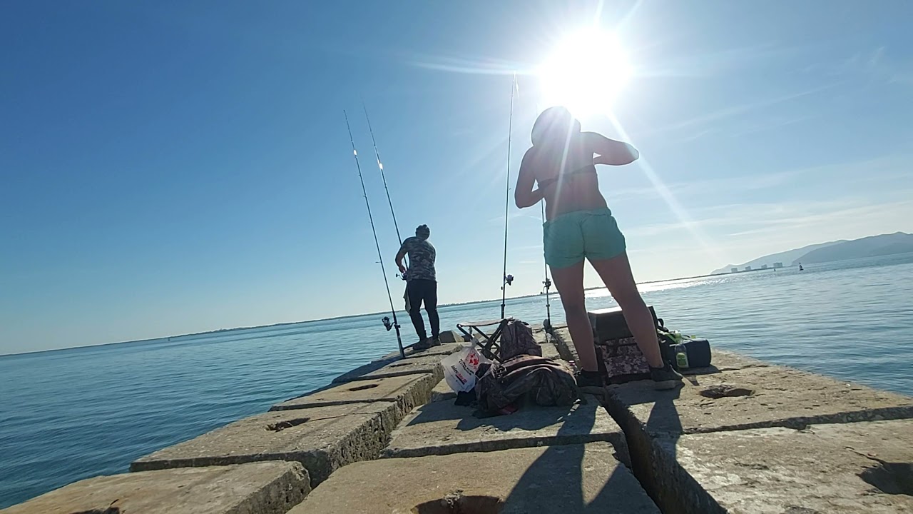 Setúbal parte 1   Parece que estes peixes nos perseguem